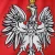 Bluza hokejowa reprezentacji Polski