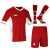 Komplet piłkarski Tottenham